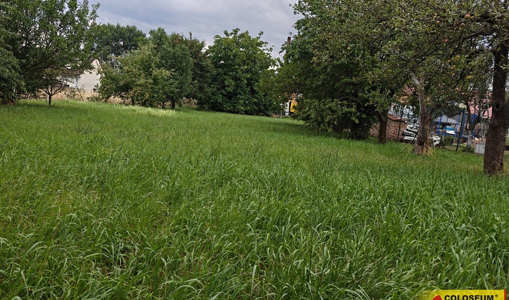 Prodej stavebního pozemku 1 180 m², Drnovice – náhled fotky 3