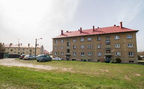 Prodej bytu 2+1 55 m², Nádražní, Lázně Kynžvart, okres Cheb