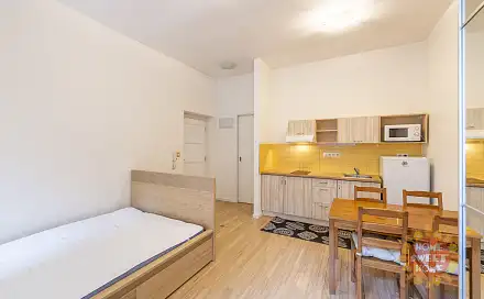 Pronájem bytu 1+kk 30 m²