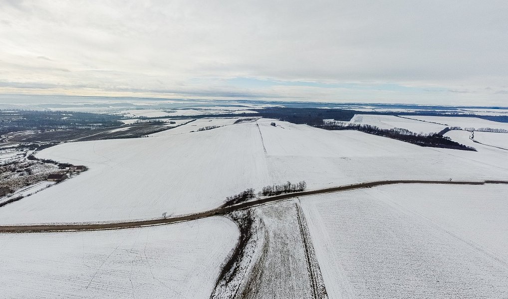 Prodej pole 54 498 m², Běhařovice – náhled fotky 7