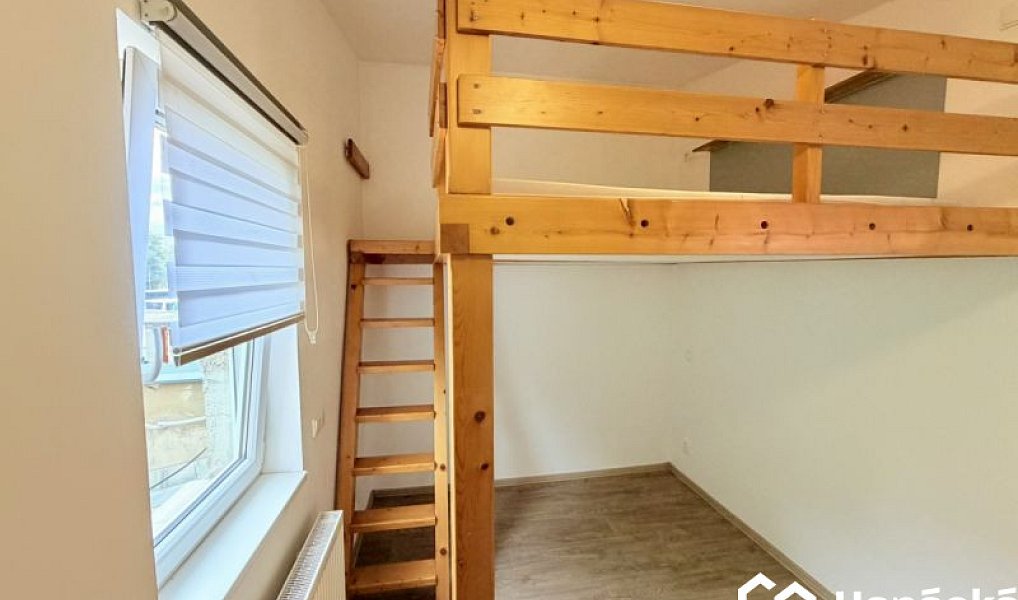 Pronájem bytu 1+kk 34 m², Bystřice pod Hostýnem – náhled fotky 9