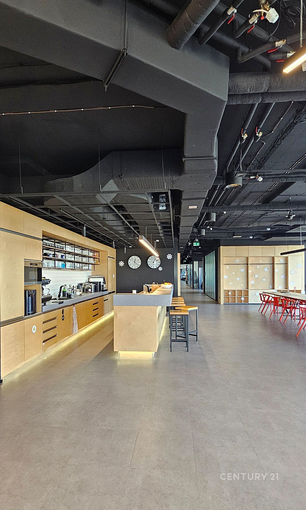 Pronájem kanceláře 1 057 m² – fotografie 4