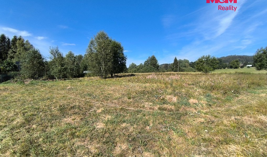 Prodej stavebního pozemku 8 083 m², Volary – náhled fotky 5