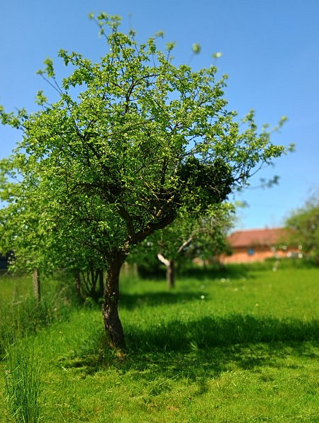 Prodej domu 250 m² s pozemkem 1 743 m² - Mehr