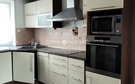 Pronájem bytu 2+1 53 m², Karla Buriana, Chomutov