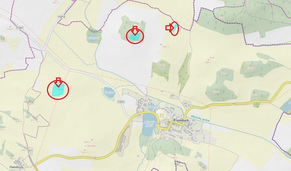 Prodej lesa 7 982 m², Frymburk – náhled fotky 4