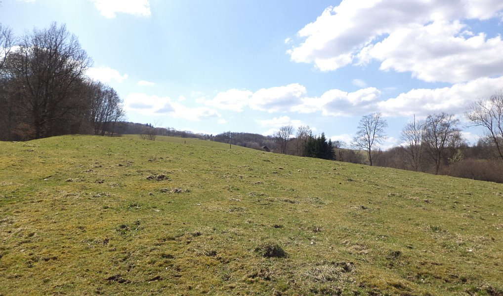 Prodej pole 4 633 m², Heřmanov – náhled fotky 2