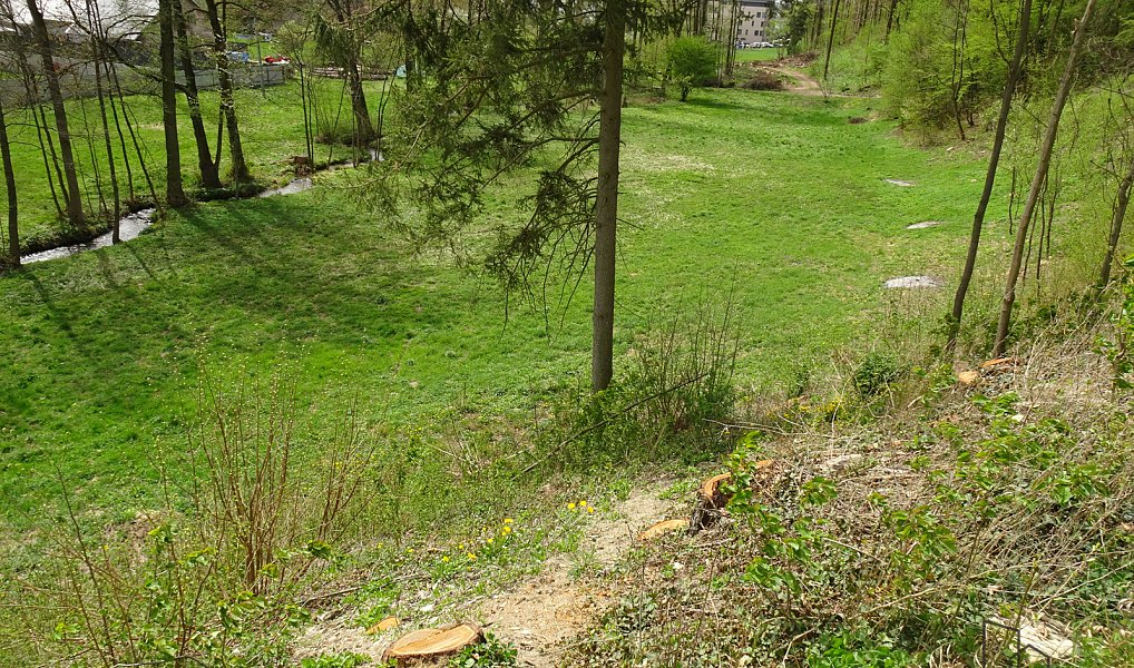 Prodej pozemku 5 086 m², Kvasiny – náhled fotky 6