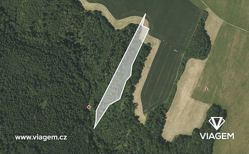 Prodej lesa 9 491 m², Fulnek, okres Nový Jičín