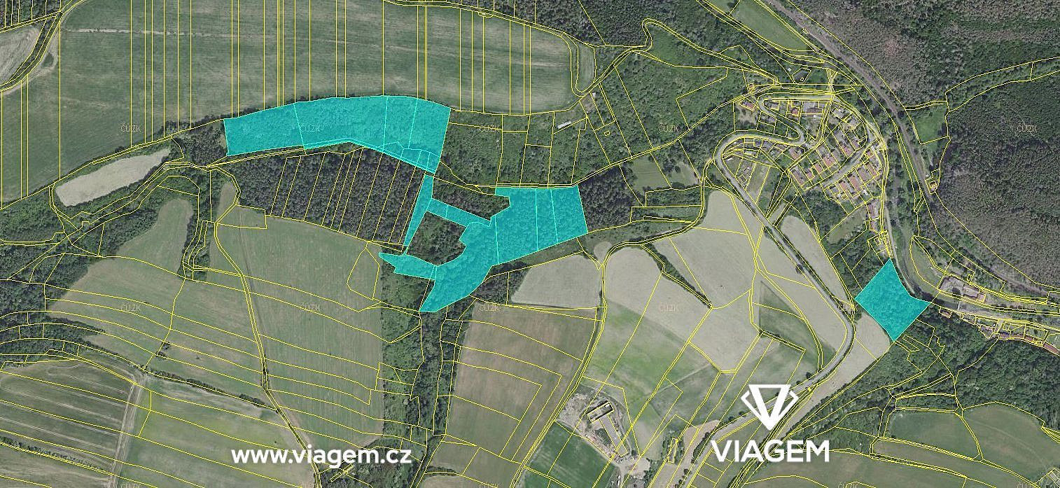 Prodej lesa 8 736 m² – fotografie 2