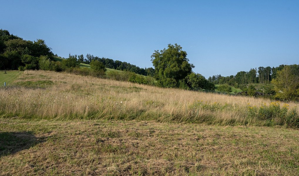 Prodej stavebního pozemku 1 519 m², Kuřim – náhled fotky 9