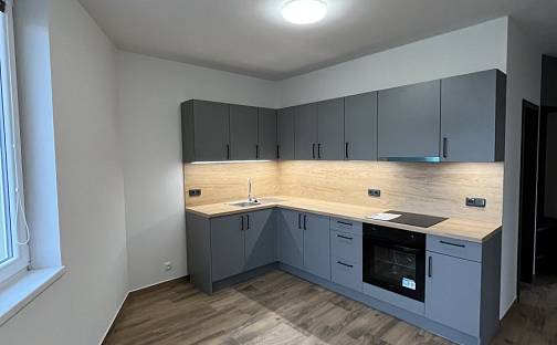 Pronájem bytu 2+1 63 m², Holická, Olomouc - Hodolany