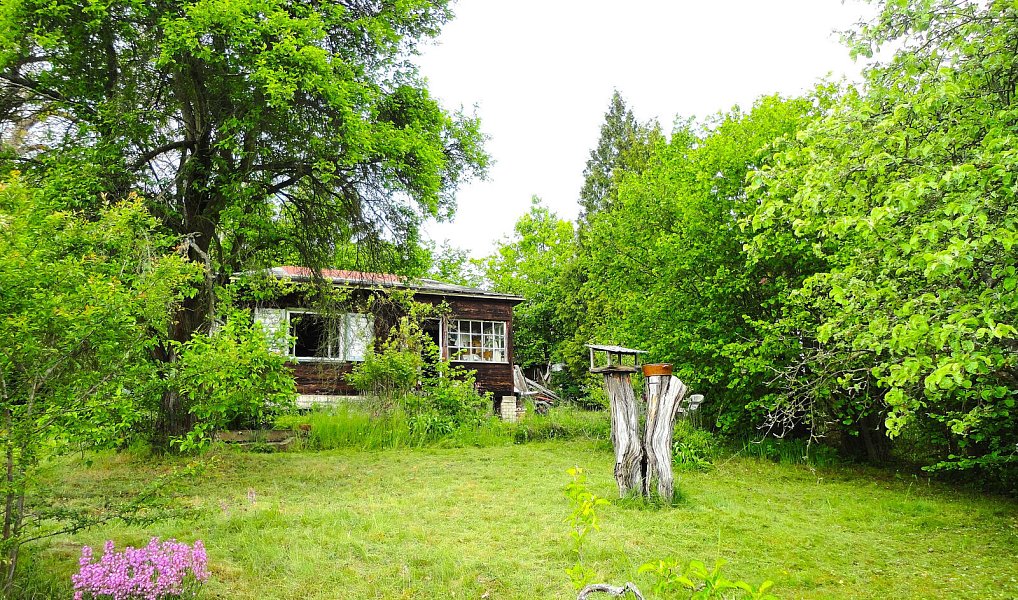 Prodej chaty/chalupy 46 m² s pozemkem 728 m², Petrov – náhled fotky 6