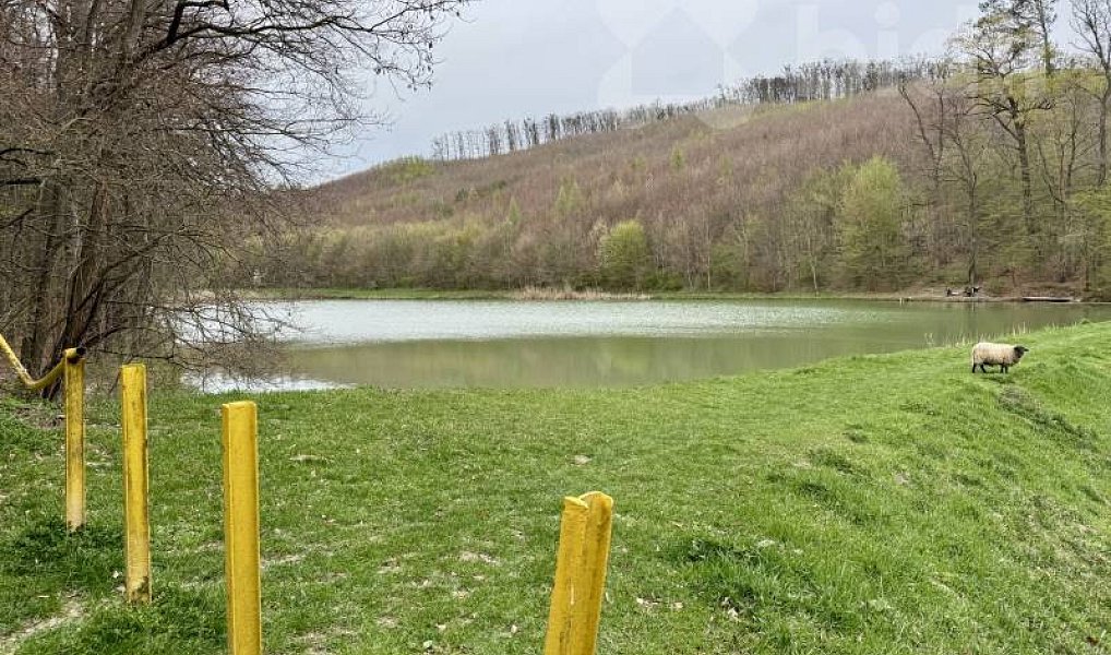 Prodej domu 95 m² s pozemkem 335 m², Lovčice – náhled fotky 12