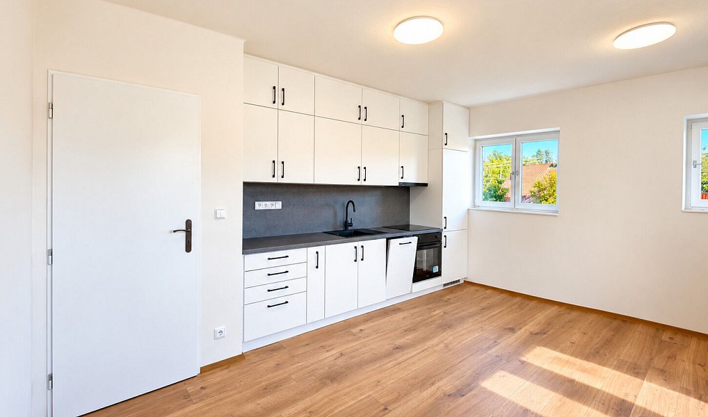 Prodej domu 500 m² s pozemkem 1 139 m², Nečín – náhled fotky 5