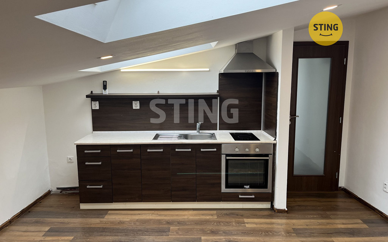 Pronájem bytu 1+kk 47 m²