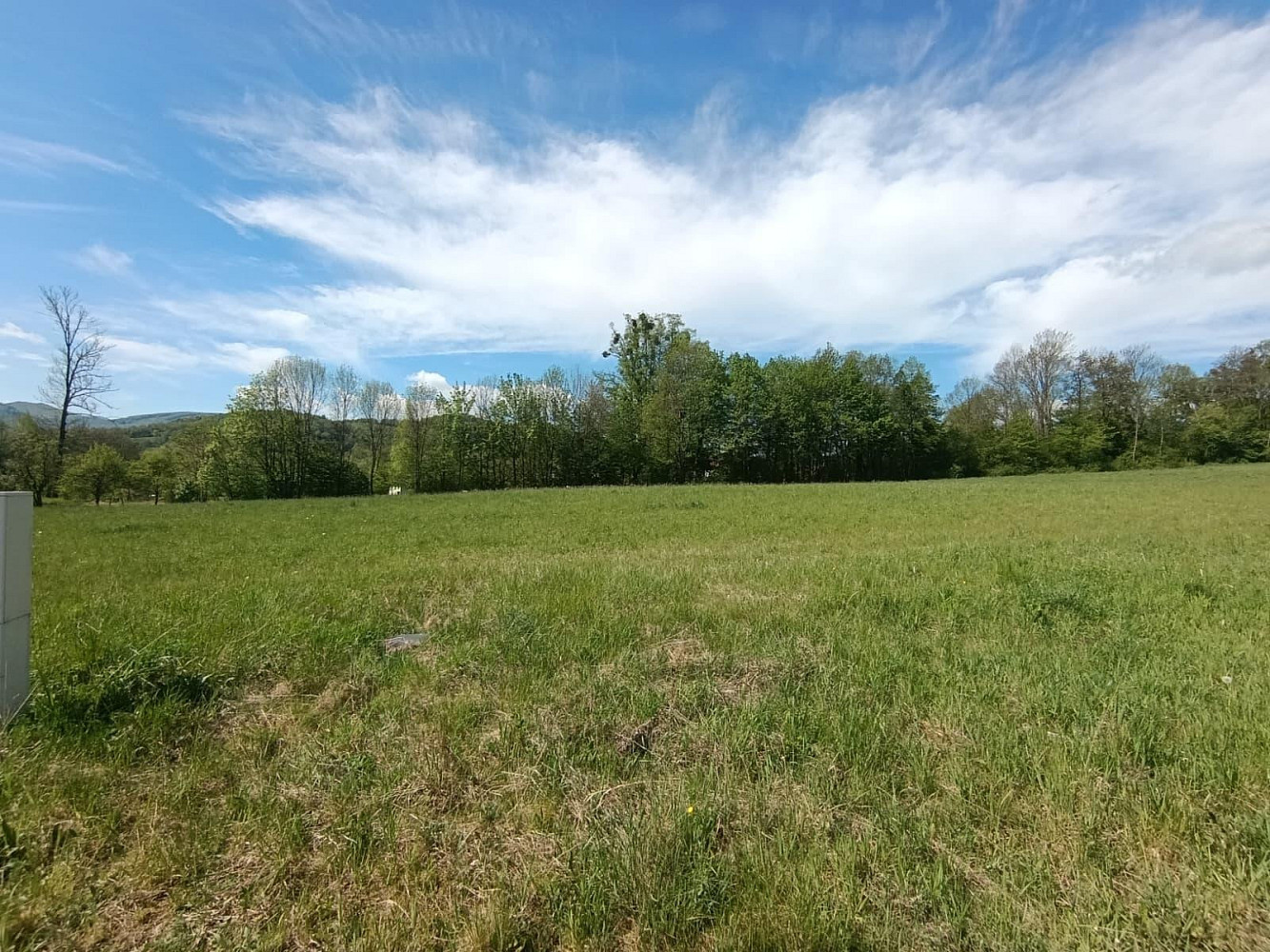 Prodej stavebního pozemku 1 484 m² – fotografie 5