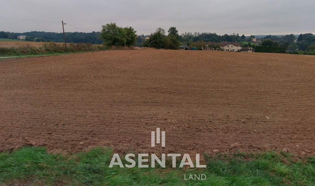 Prodej pozemku 12 432 m², Rychvald – náhled fotky 2