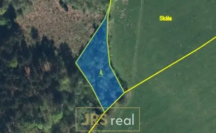 Prodej lesa 1 985 m², Liberk, okres Rychnov nad Kněžnou