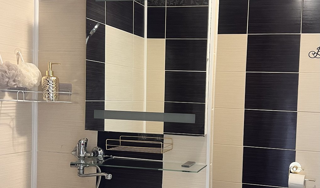 Prodej bytu 1+1 37 m², Frýdek-Místek – náhled fotky 4