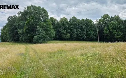 Prodej lesa 26 680 m², Písečná, okres Jeseník