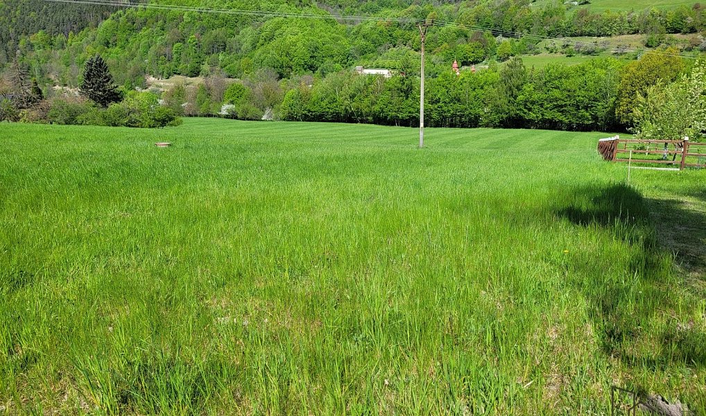 Prodej pozemku 3 304 m², Rusava – náhled fotky 11