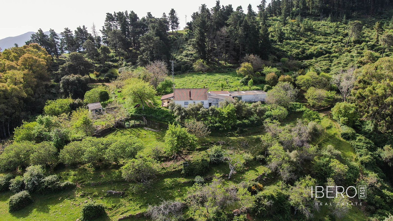 Casa 4+kk – Gaucín, Gaucín Pueblo, Serranía de Ronda - Vista 3