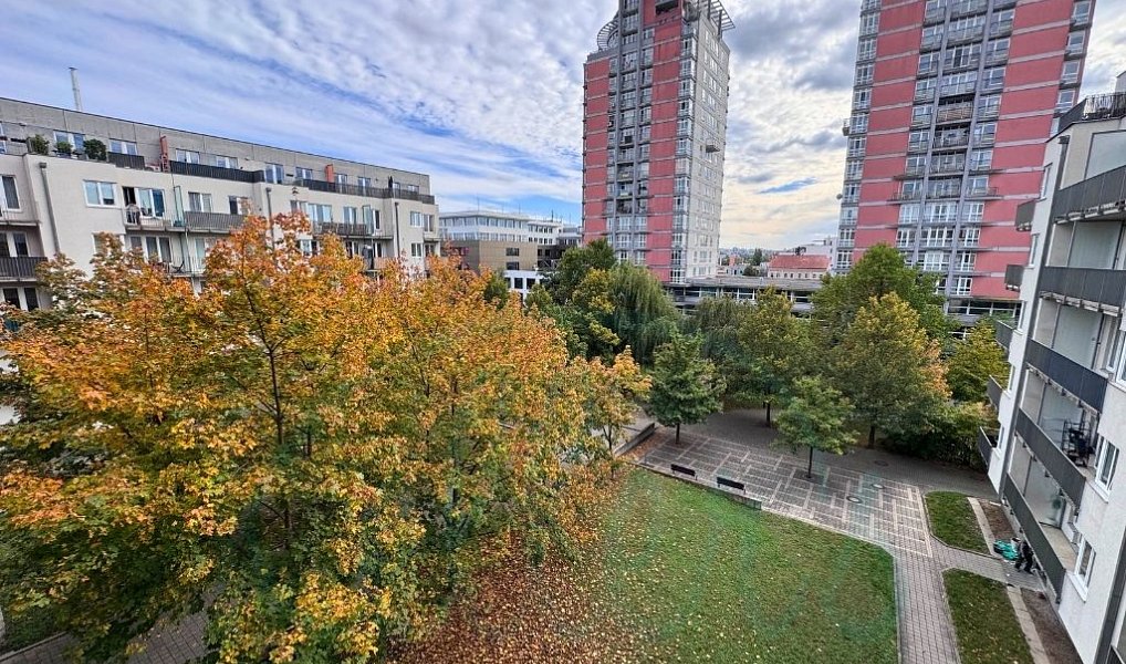 Pronájem bytu 2+kk 59 m², Praha – náhled fotky 4