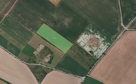 Prodej pole 12 769 m², Znojmo - Popice