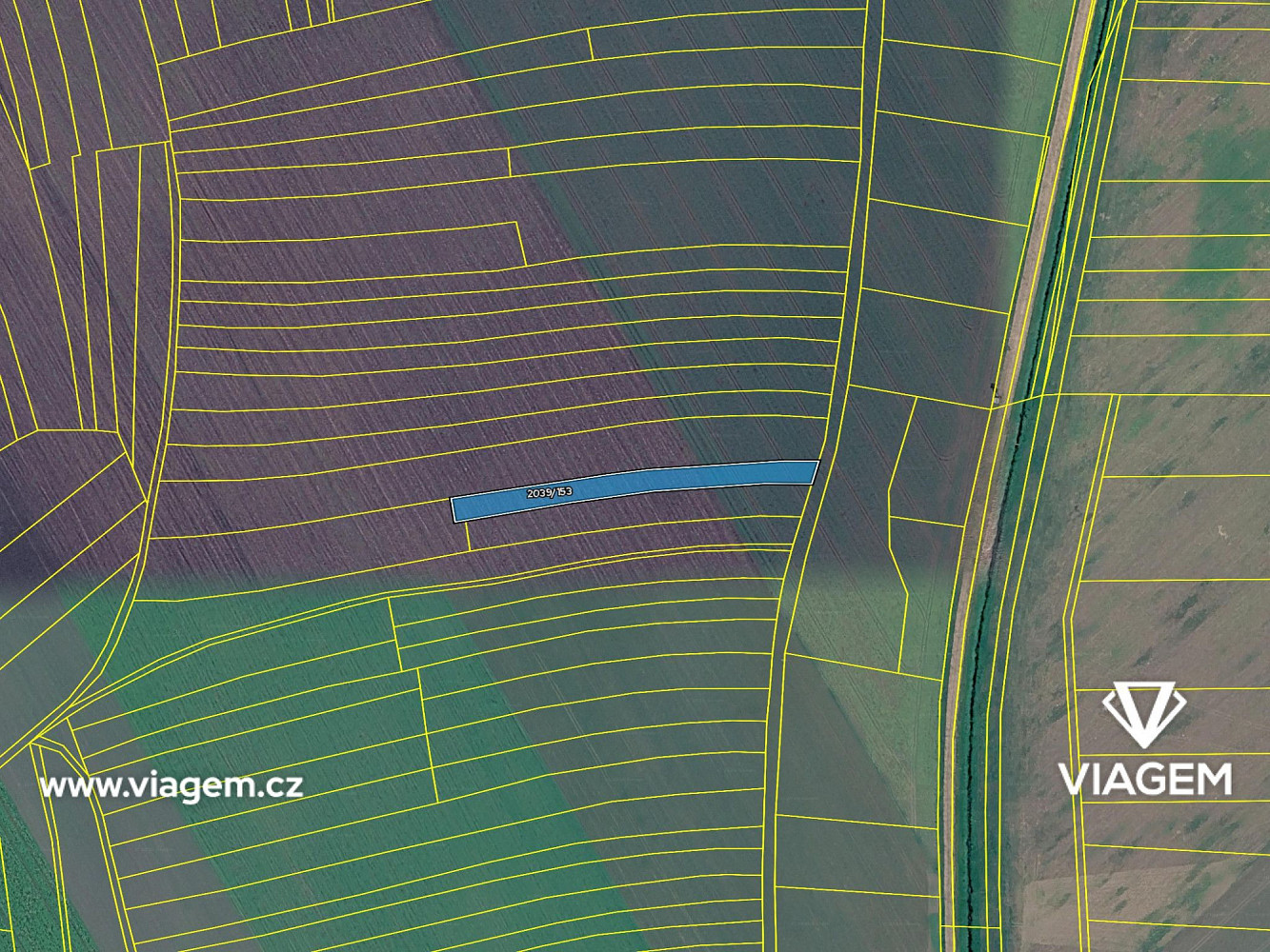 Prodej pole 350 m² – fotografie 4
