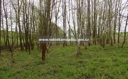 Prodej pozemku 618 m², Lestkov, okres Tachov