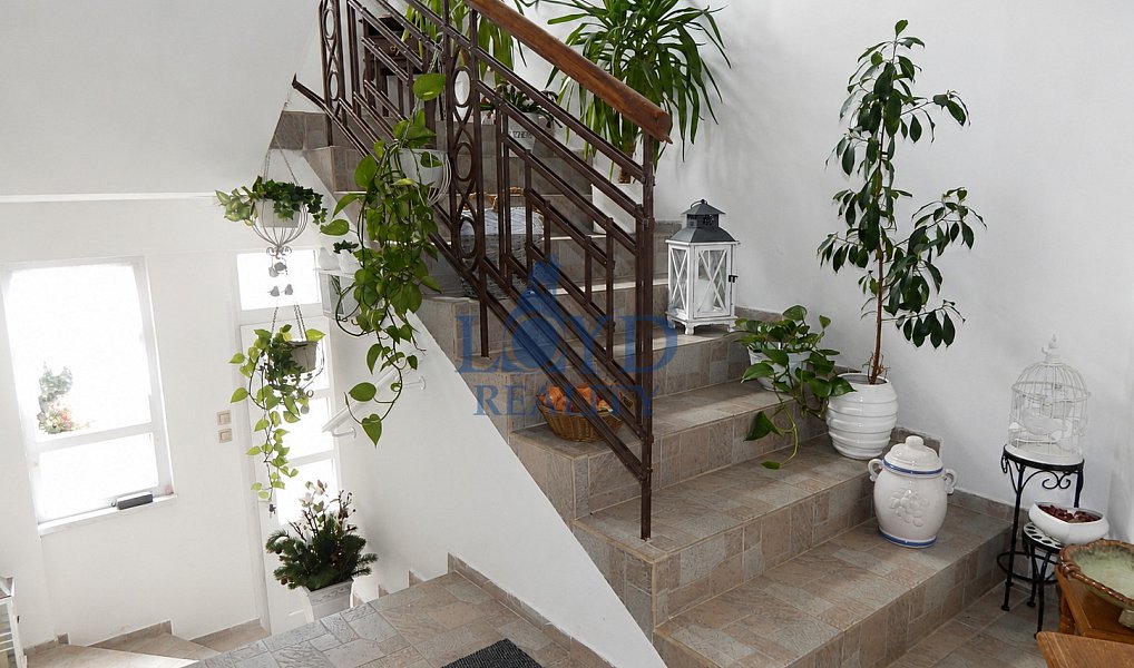 Prodej domu 210 m² s pozemkem 779 m², Sokolov – náhled fotky 12