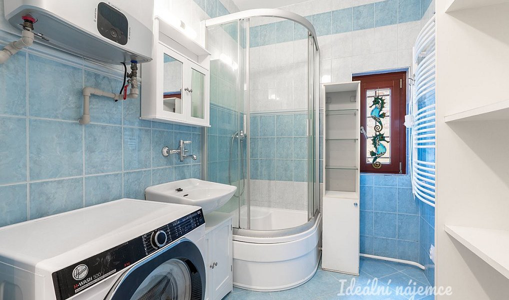 Pronájem domu 100 m² s pozemkem 200 m², Brandýsek – náhled fotky 9