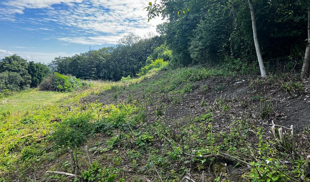 Prodej stavebního pozemku 1 463 m², Most – náhled fotky 5