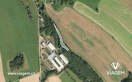 Prodej lesa 522 m², Proseč, okres Chrudim