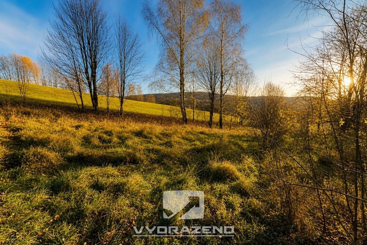 Prodej louky 4 375 m² – pohled 3