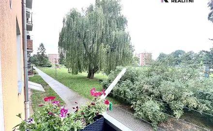 Prodej bytu 2+1 51 m², Mohelnická, Uničov, okres Olomouc