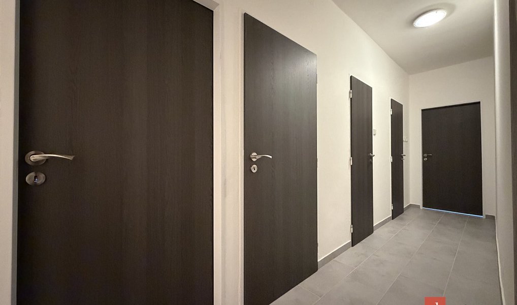 Pronájem bytu 2+1 53 m², Plzeň – náhled fotky 4