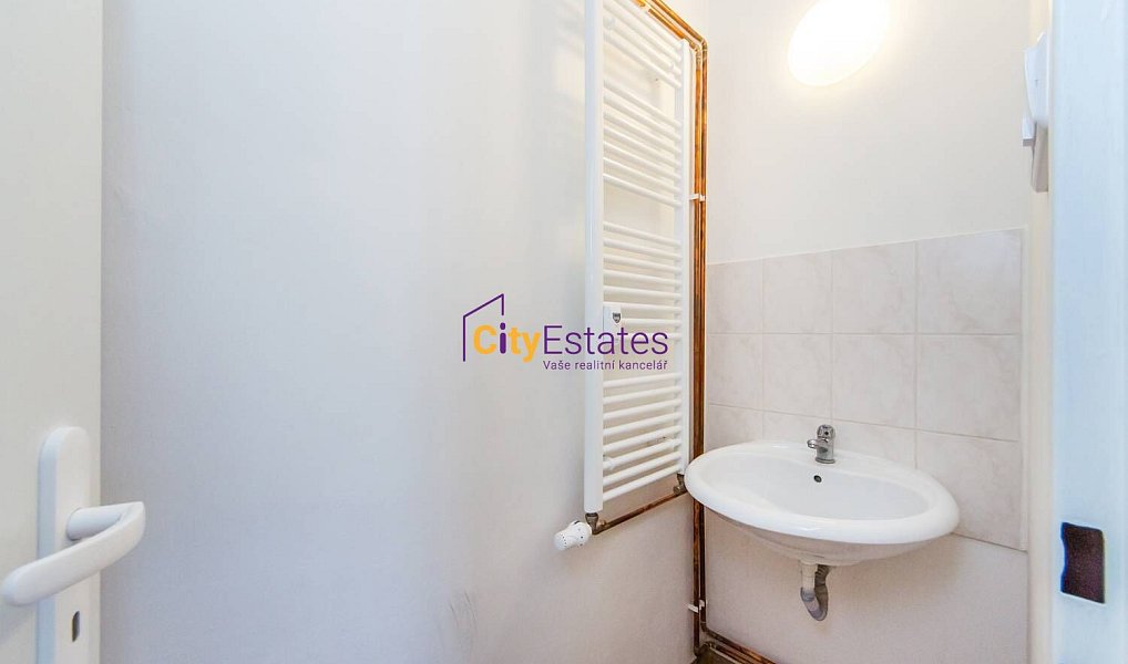 Pronájem bytu 1+1 40 m², Praha – náhled fotky 9