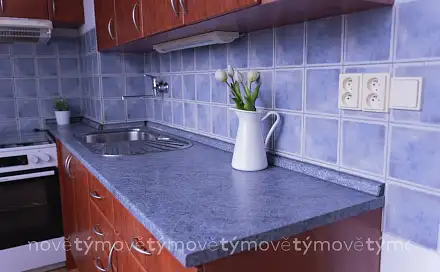 Prodej bytu 3+1 59 m²
