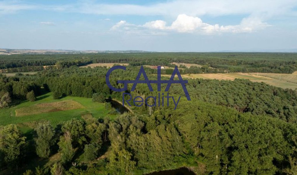 Prodej kanceláře 692 m², Vacenovice – náhled fotky 30