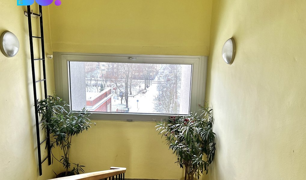 Pronájem bytu 1+1 37 m², Ostrava – náhled fotky 7