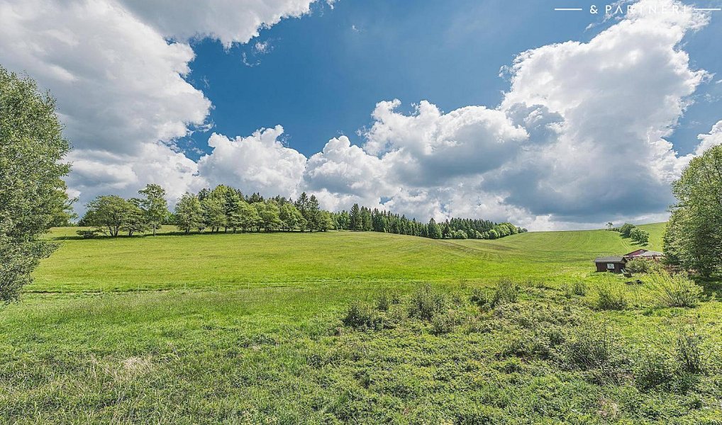Prodej stavebního pozemku 5 600 m², Olešnice v Orlických horách – náhled fotky 10