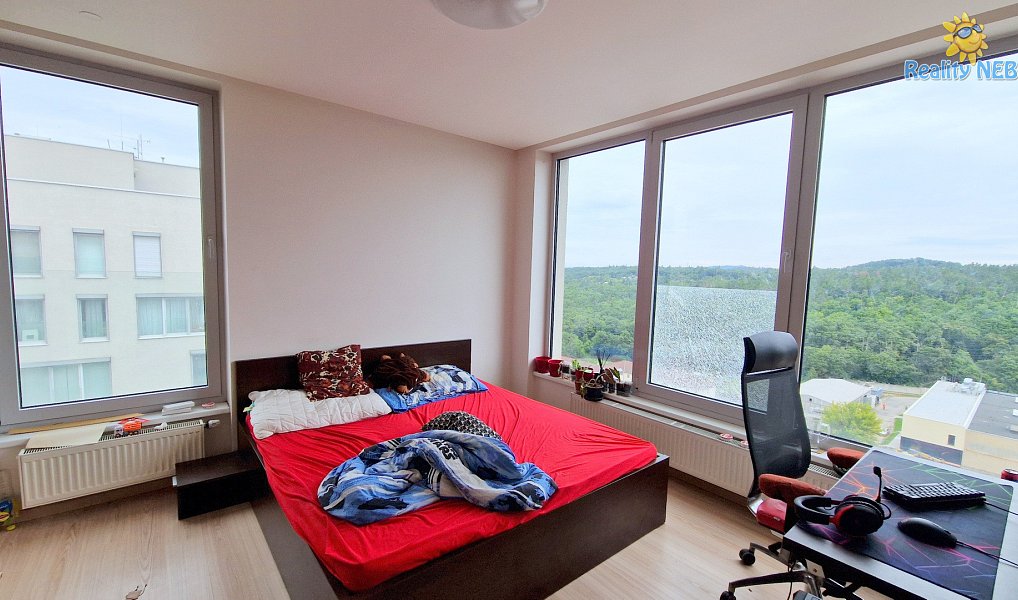 Prodej bytu 4+kk 446 m², Brno – náhled fotky 14