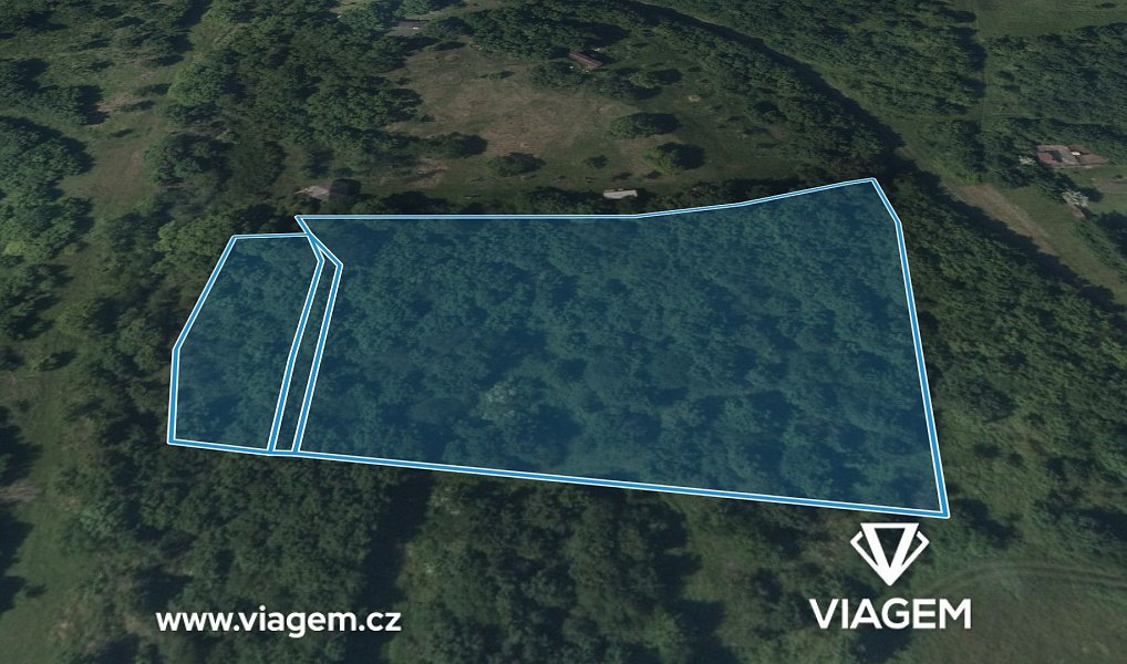 Prodej lesa 1 311 m², Žitenice – náhled fotky 2
