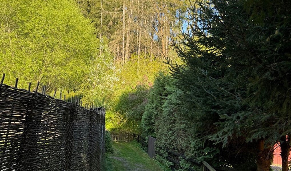 Prodej chaty/chalupy 50 m² s pozemkem 504 m², Libeř – náhled fotky 19