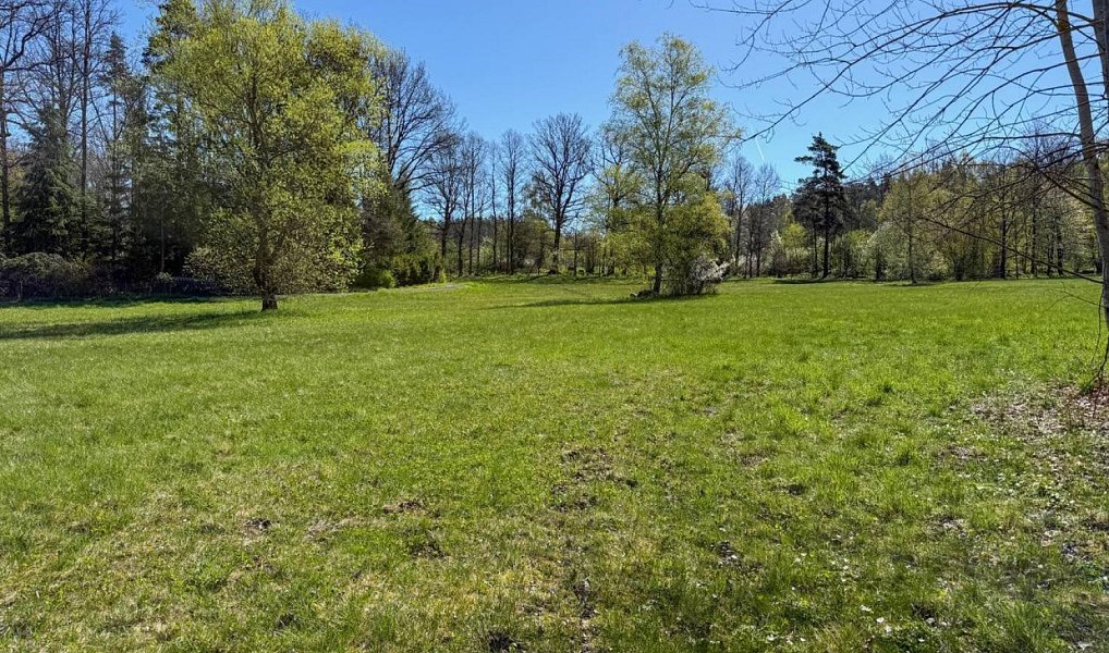 Prodej stavebního pozemku 8 053 m², Děpoltovice – náhled fotky 2