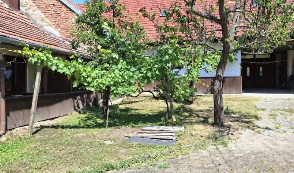 Prodej domu 350 m² s pozemkem 1 963 m², Ivaň – náhled fotky 3