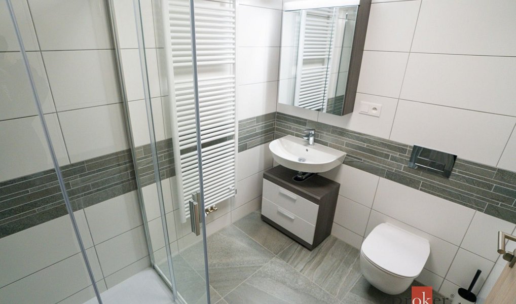 Pronájem bytu 1+kk 31 m², Plzeň – náhled fotky 3