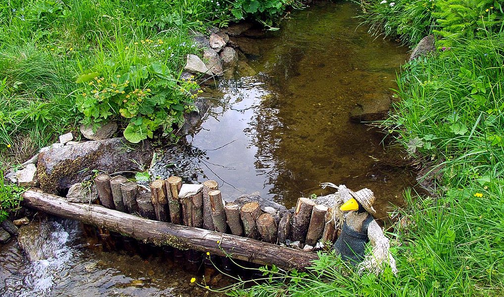 Prodej domu 419 m² s pozemkem 1 761 m², Přední Výtoň – náhled fotky 13